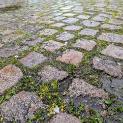Moosiges, nasses, rutschiges Kopfsteinpflaster