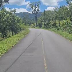 Mein Blick aus dem Heckfenster.