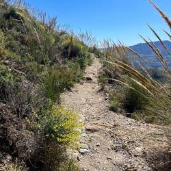 Der Weg mag gemütlich erscheinen, aber es geht bei prallen Sonnenschein nur mehr bergauf, was..