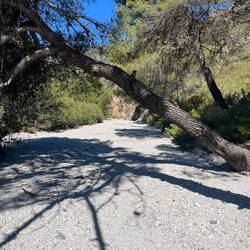 Der eigentlich recht große Bach hingegen ist restlos ausgetrocknet und..