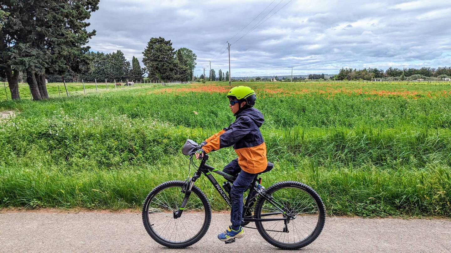 Surfing through the red florals