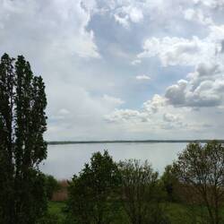 Blick vom Turm auf den Raßnitzer See