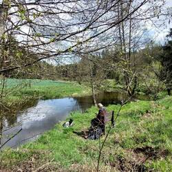 Die Biber Beobachtungsbank!