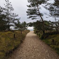 Der morgendliche Meerescheck