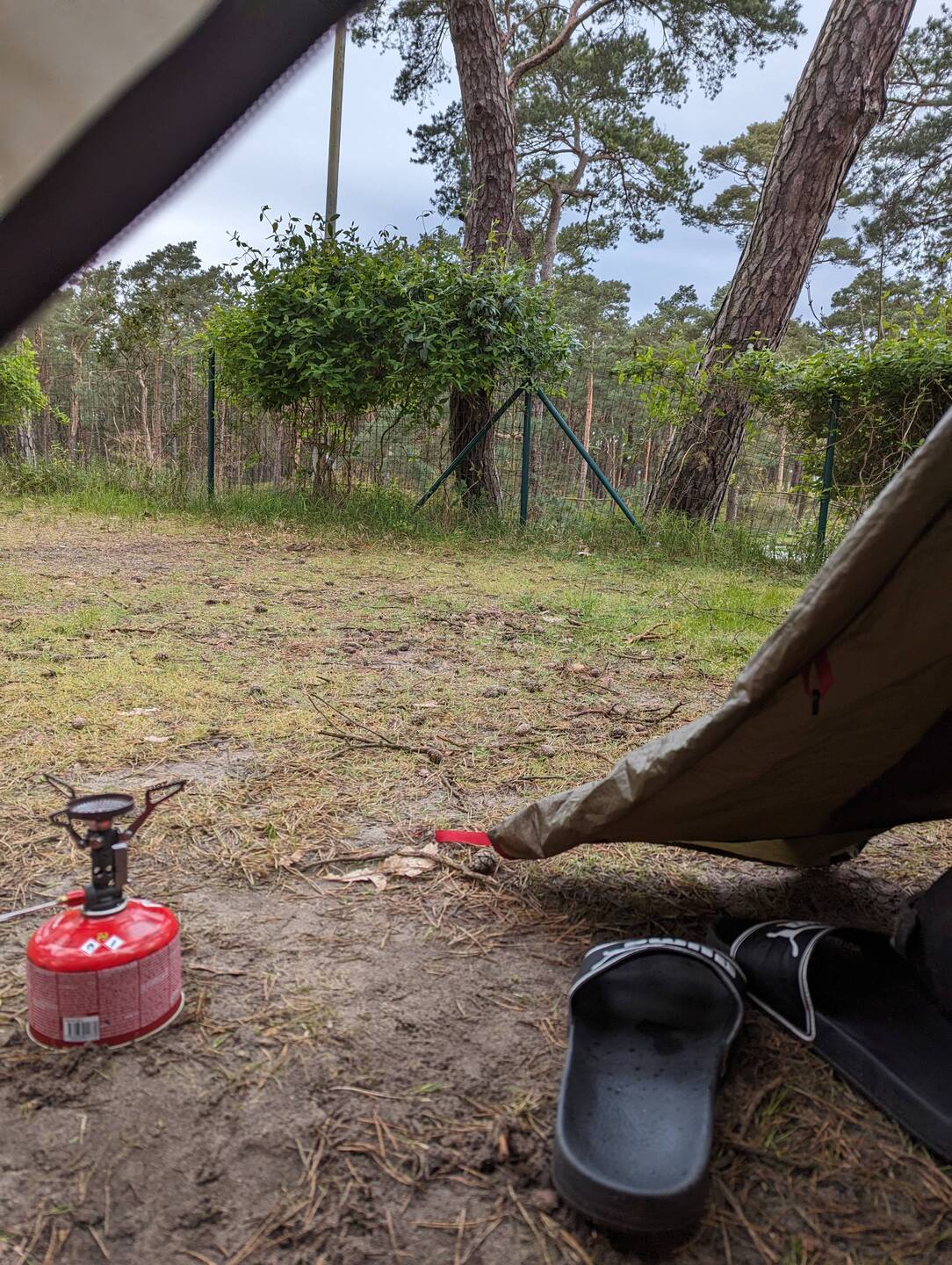 Blick auf meine Terrasse
