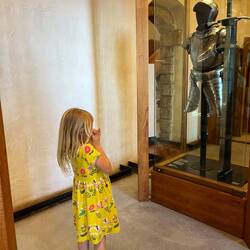 Annika liked swords and armor