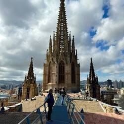 Auf Auf dem Dach der Kathedrale