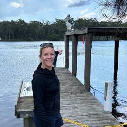 Die Pelikane sind riesig