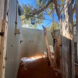 Eine der Duschen, um einen Baum herum gebaut 🌴