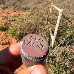 Auch ein Geocache versteckt sich hier