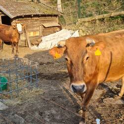 Bella et Petra ❤️