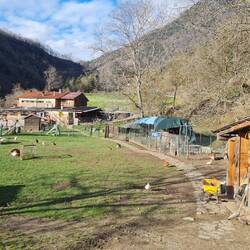 Aperçu de la ferme dans la vallée