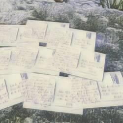 Cartes postales prêtes à l'envoi