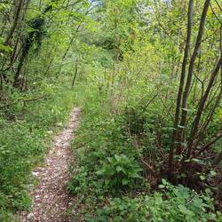 ...schmale und abenteuerliche Wege
