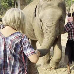 Enjoying the bananas