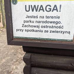 Ich hatte mit keinem ein Problem