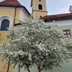 Noch ein Blick zurück!😁👍
