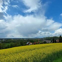Hoch über Neustadt!