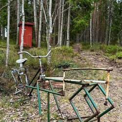 Eine Jahrtausend-Erfindung: mit dem alten Fahrrad das Holz am Shelter klein sägen.