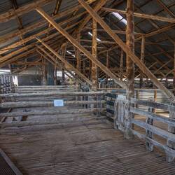 Shearers Shed