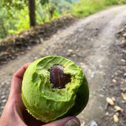 Liegen ab und an wie Äpfel am Straßenrand