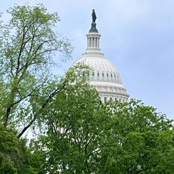 You know the Capitol Building