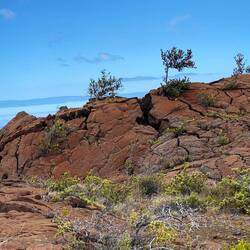 Wie cool, man fährt mitten durch erkaltete Lava