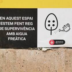 Die Pflanzen bekommen wegen der Trockenheit wohl nur ein Minimum an Wasser.