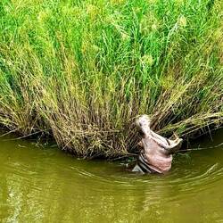 A shot taken from the bathroom sink