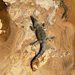 Directly below our room