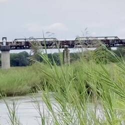 Our welcome to Kruger by Crocodiles and Baboons