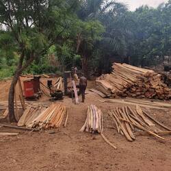 Sägewerk in Nigeria