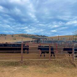 Ann-Estelle's Arbeisstelle 🐄