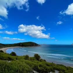 Picnic Bay in Wilsons Prom 🏖️
