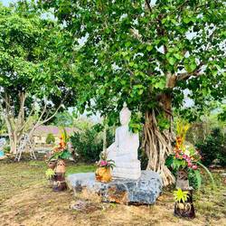 An Songkran (Neujahrsfest Thailands) werden die Buddhastatuen gewaschen