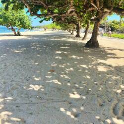aber es gibt schöne schattige Plätzchen