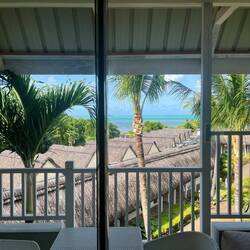 Blick aus dem Zimmer 🌴