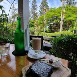 Hilli's morning tea