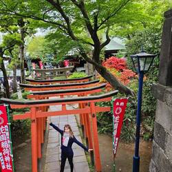 Les derniers Tori au parc d'Ueno