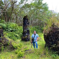 Der blaue Baum hat noch keine Lavakruste.