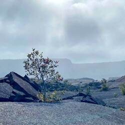 Die Wolken zogen herein...total mystisch