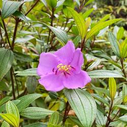 Kein Kommentar - hat Petra fotografiert und in die heutige Präsentation reingeschmuggelt.
