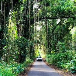 Es ging ca. 10 km durch solch eine Strasse - ein Träumchen.