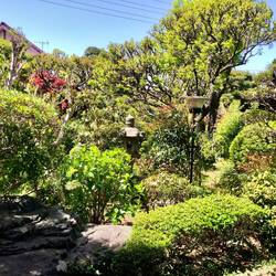 Ein Blick in einen Garten im Viertel...