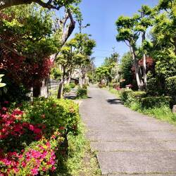 In einer Straße im Viertel vor dem Museum