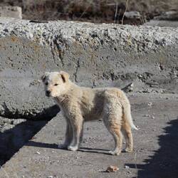 Karins Favorit für die Adoption