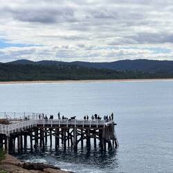 Historical wharf in Tathra