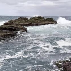 Mein kleiner Freund 🥰🦭