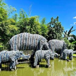 hierfür werden die Getränkedosen der Gäste verwendet