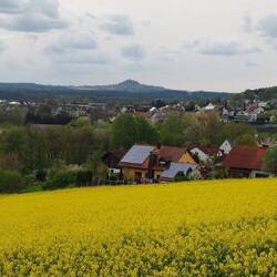 Gestern haben wir uns den Basaltkegel Parkstein angesehen!
